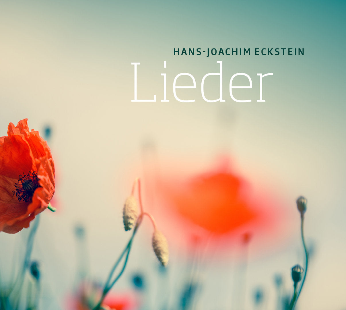 Lieder (gesungen + instrumental) 2CD-Set