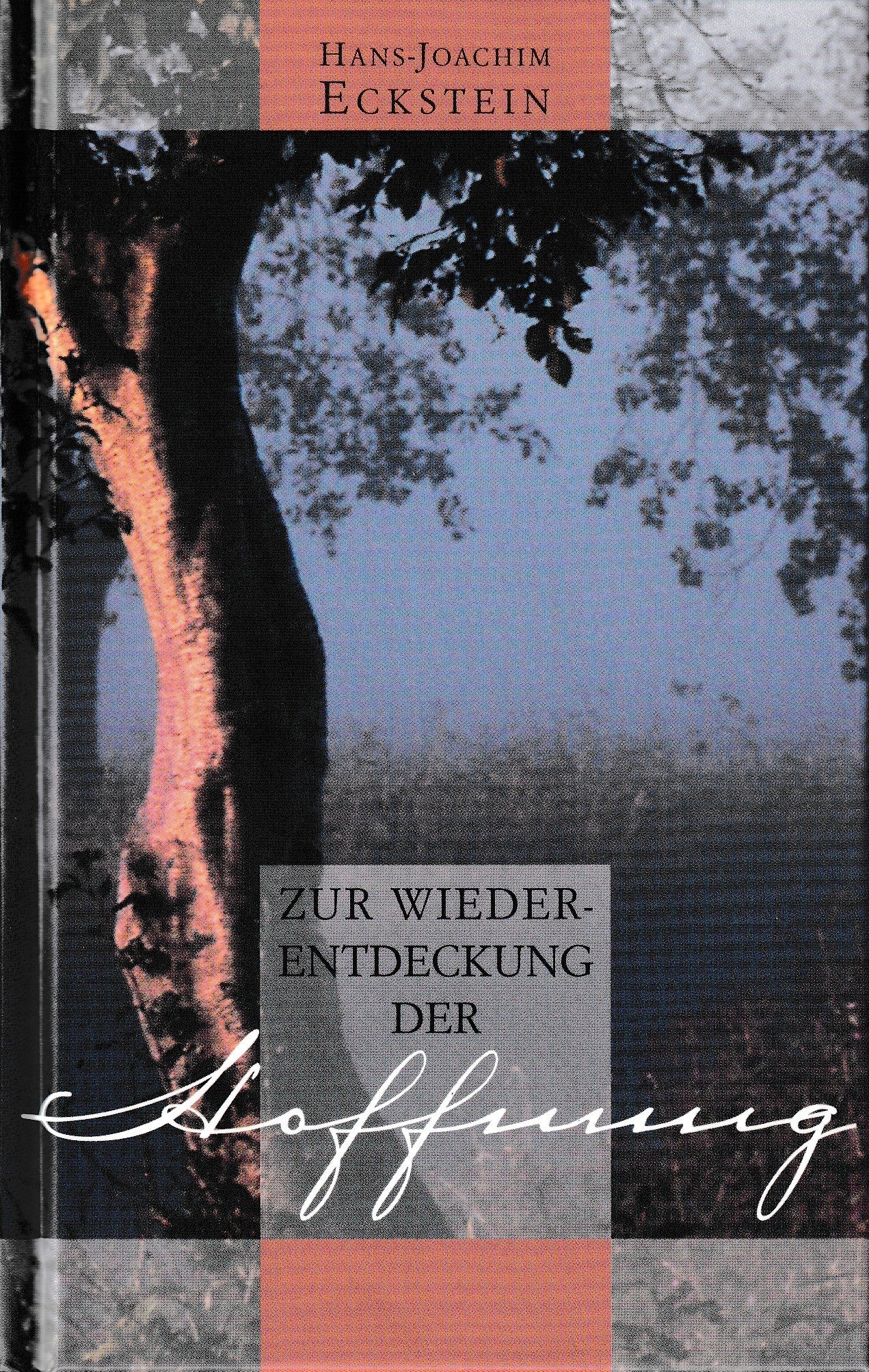 Zur Wiederentdeckung der Hoffnung: Grundlagen des Glaubens 1