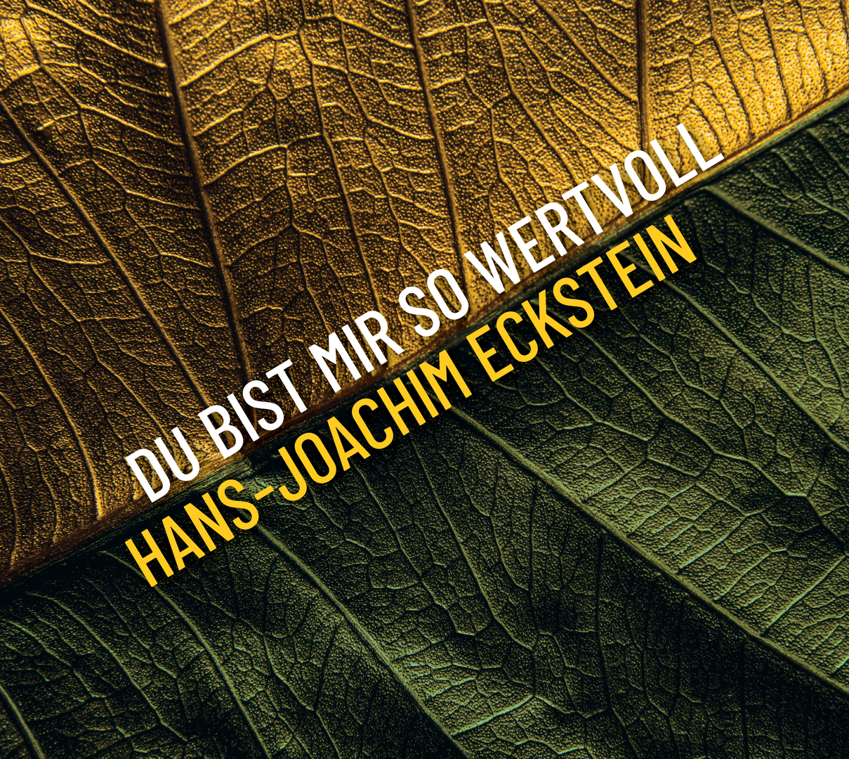 Du bist mir so wertvoll CD