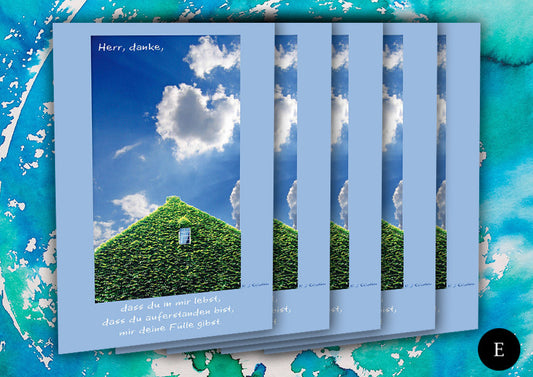 Danke, dass du lebst (5 Postkarten-Set)