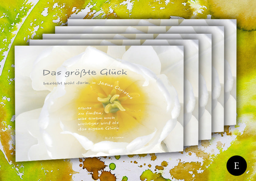 Herz (5 Postkarten-Set)