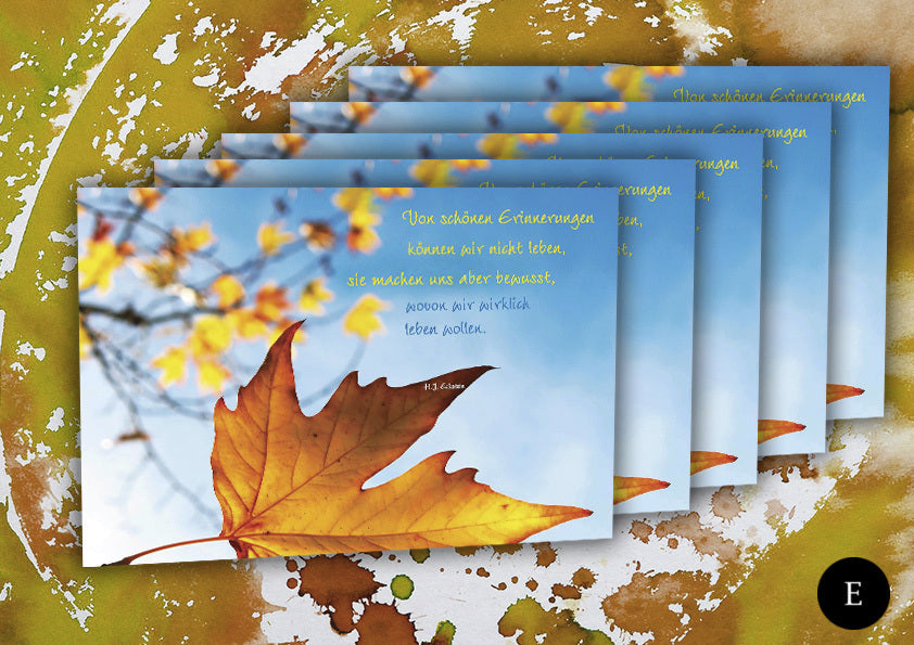 Schöne Erinnerungen (5 Postkarten-Set)