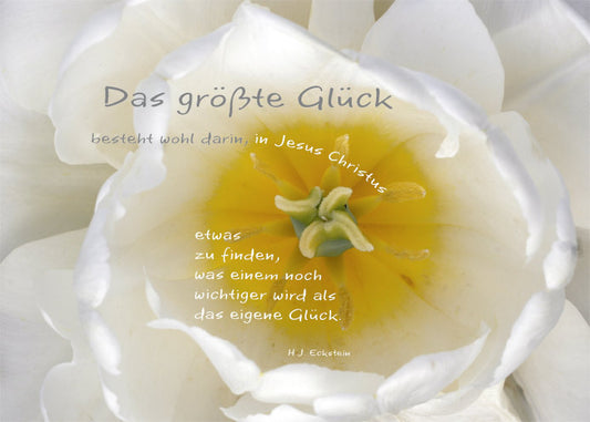 Das größte Glück (5 Faltkarten-Set)