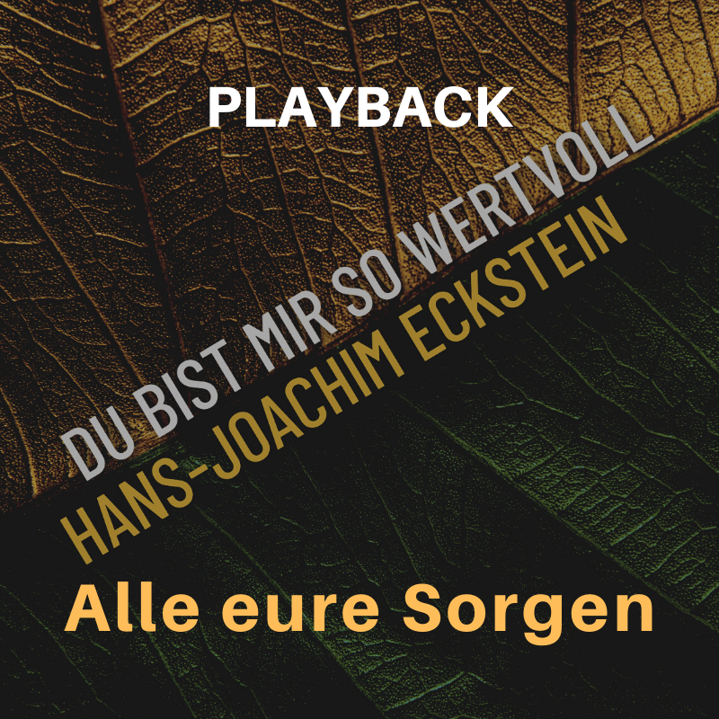 PLAYBACK instrumental Alle eure Sorgen