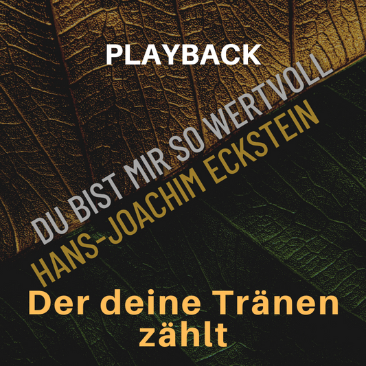 PLAYBACK instrumental Der deine Tränen zählt