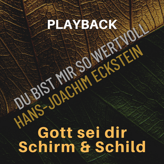 PLAYBACK instrumental Gott sei dir Schirm und Schild
