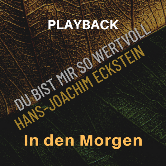 PLAYBACK instrumental In den Morgen
