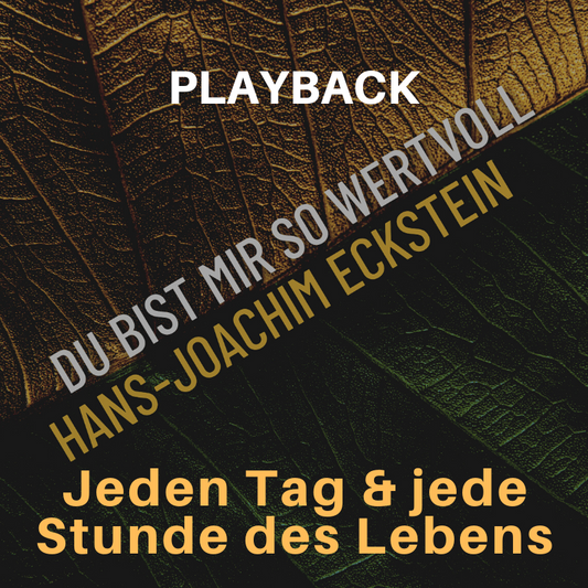 PLAYBACK instrumental Jeden Tag und jede Stunde des Lebens