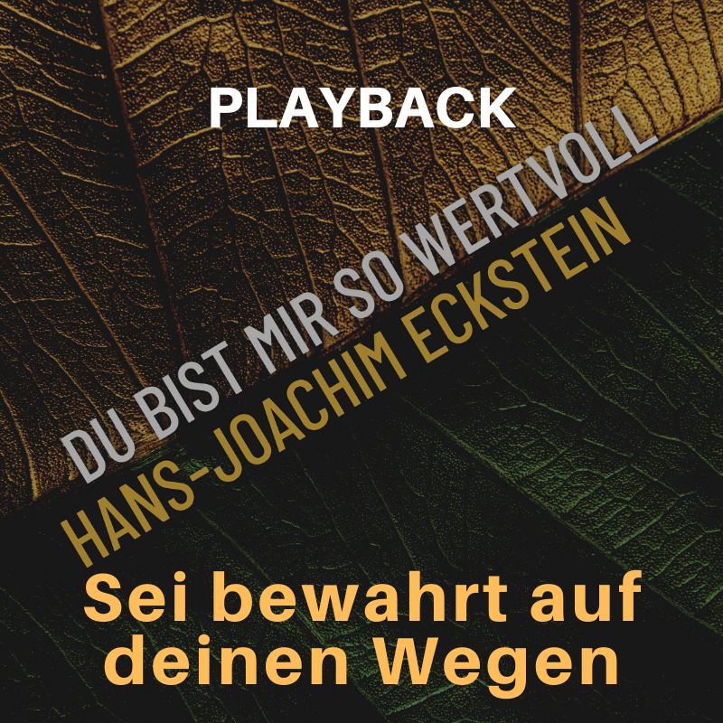 PLAYBACK instrumental Sei bewahrt auf deinen Wegen