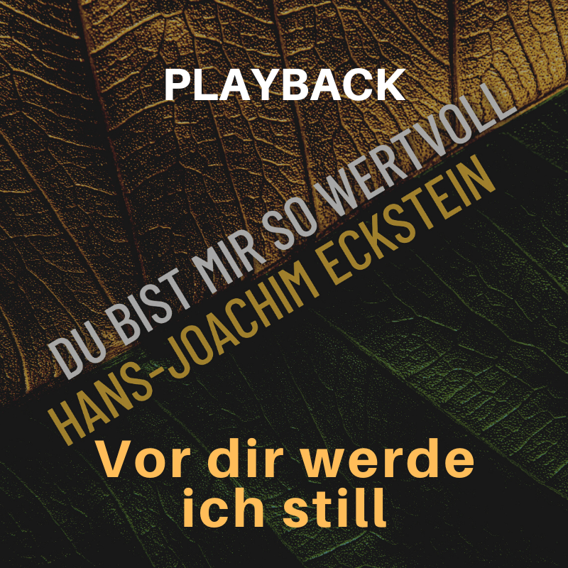 PLAYBACK instrumental Vor dir werde ich still