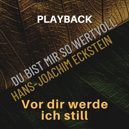 PLAYBACK instrumental Vor dir werde ich still