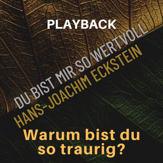 PLAYBACK instrumental Warum bist du so traurig