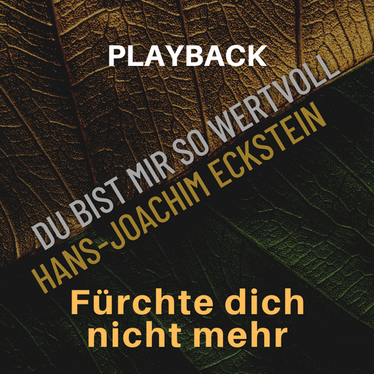 PLAYBACK instrumental Fürchte dich nicht mehr