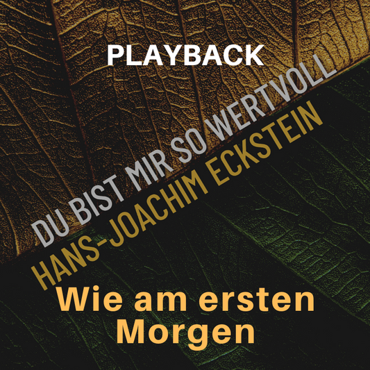 PLAYBACK instrumental Wie am ersten Morgen