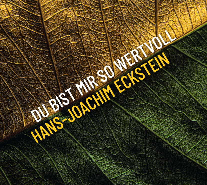 Du bist mir so wertvoll+Wie ein Adler+Lieder-CDs auf einem USB-Stick