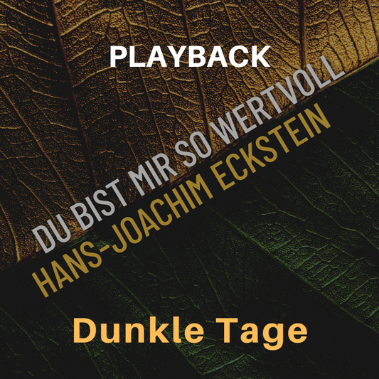 PLAYBACK instrumental Dunkle Tage - Schwere Zeit
