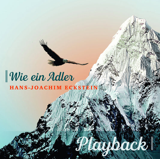 Playback-CD WIE EIN ADLER "Gott sei mit dir" instrumental